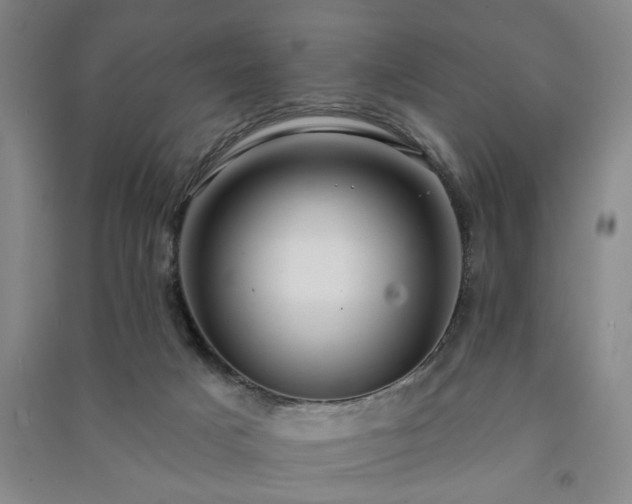 X0000091230025200708161725
