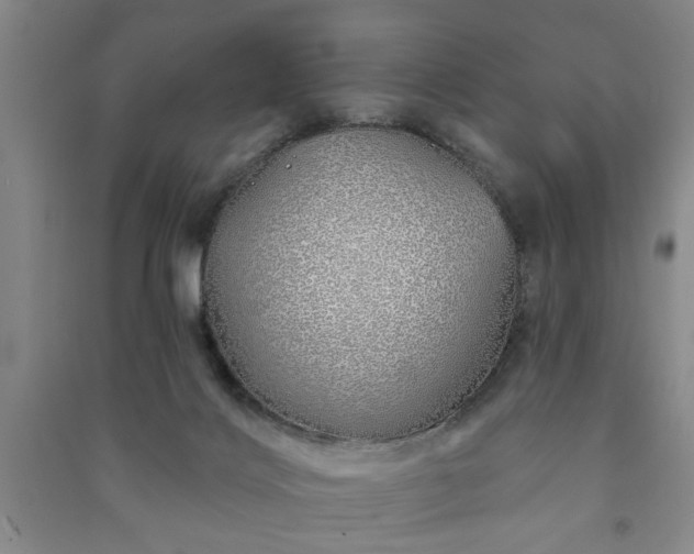 X0000091230028200708161725