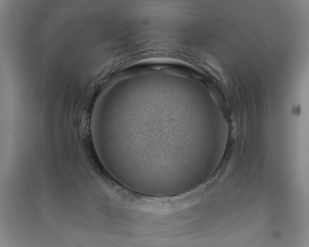 X0000091230029200708161725