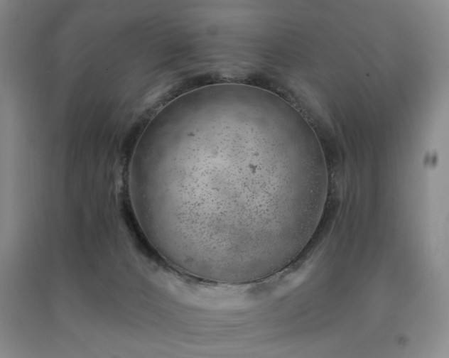 X0000091230032200708161725