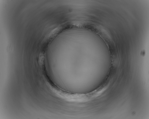 X0000091230036200708161725