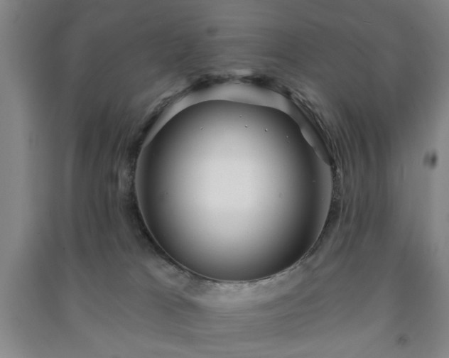 X0000091230037200708161725