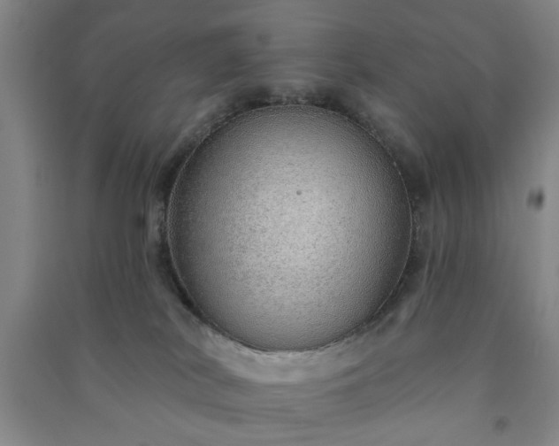 X0000091230038200708161725