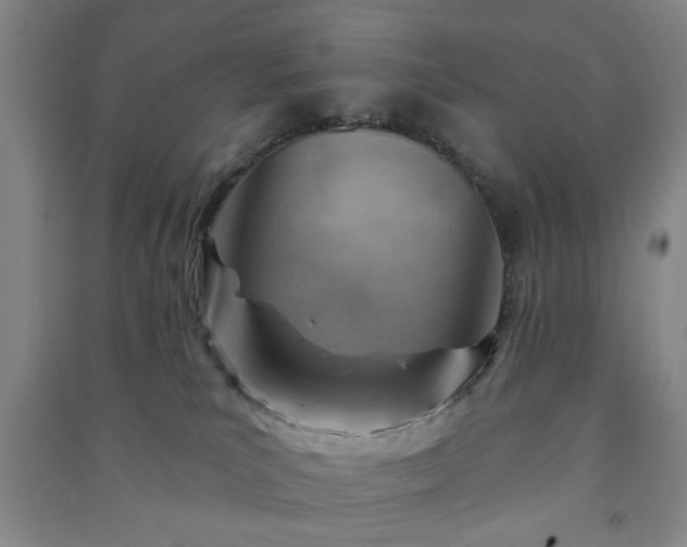 X0000091230039200708161725