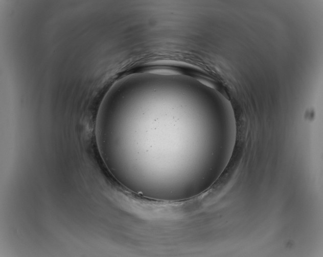 X0000091230040200708161725