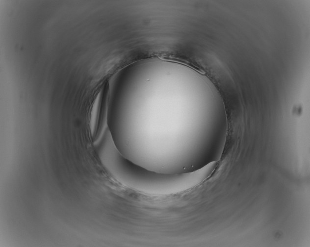 X0000091230041200708161725