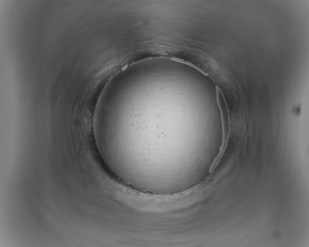 X0000091230043200708161725
