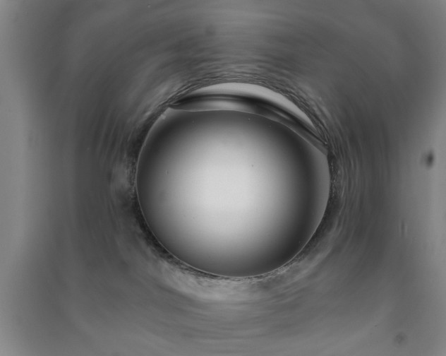 X0000091230044200708161725
