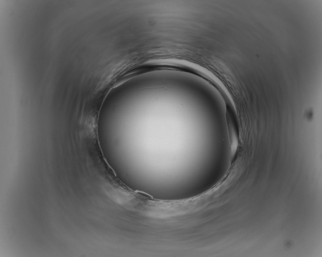 X0000091230045200708161725