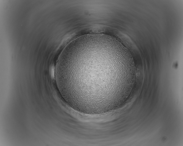 X0000091230046200708161725