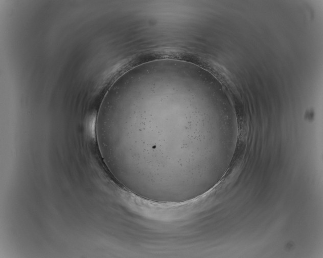 X0000091230047200708161725