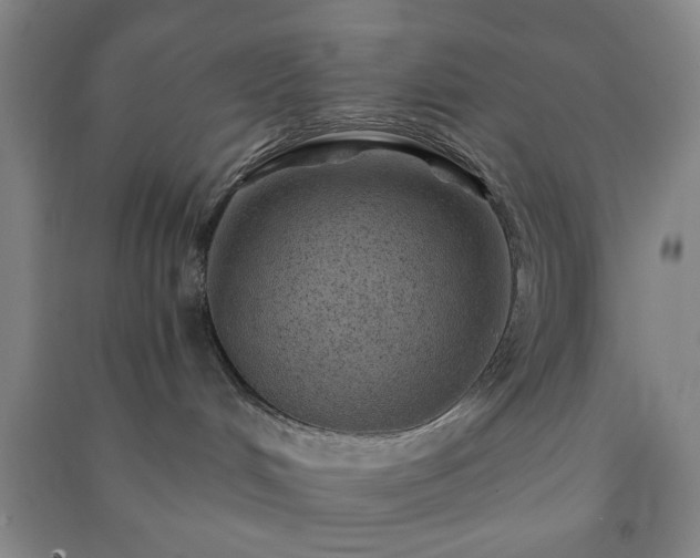 X0000091230048200708161725
