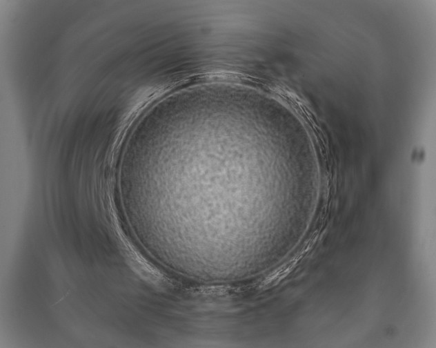 X0000091230049200708161724