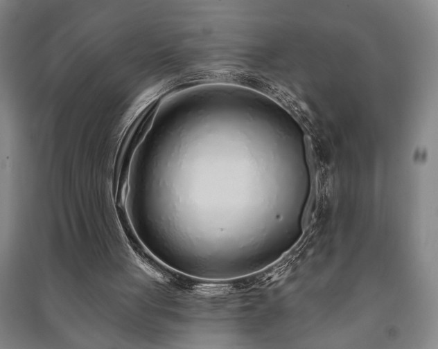 X0000091230051200708161724