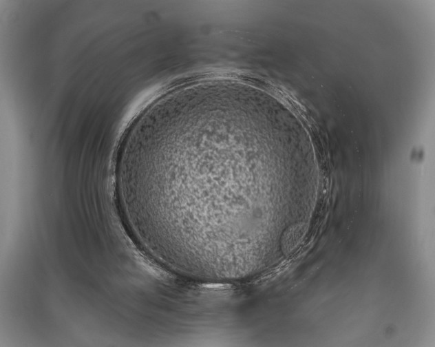 X0000091230053200708161724