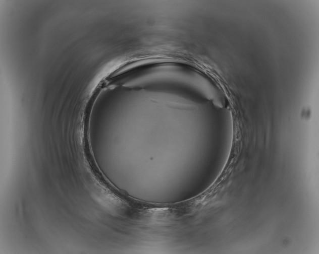 X0000091230054200708161724