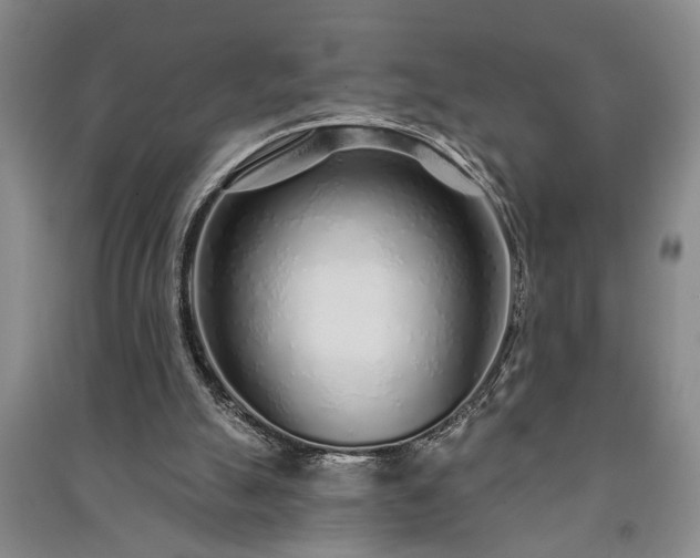 X0000091230055200708161724