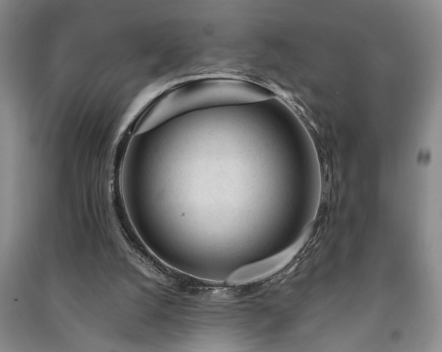 X0000091230056200708161724