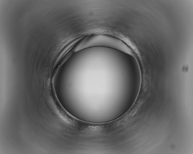 X0000091230057200708161724