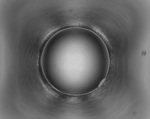 X0000091230058200708161724