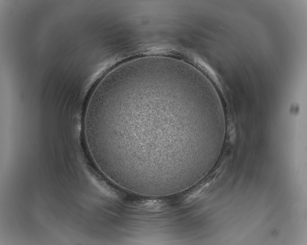 X0000091230059200708161724