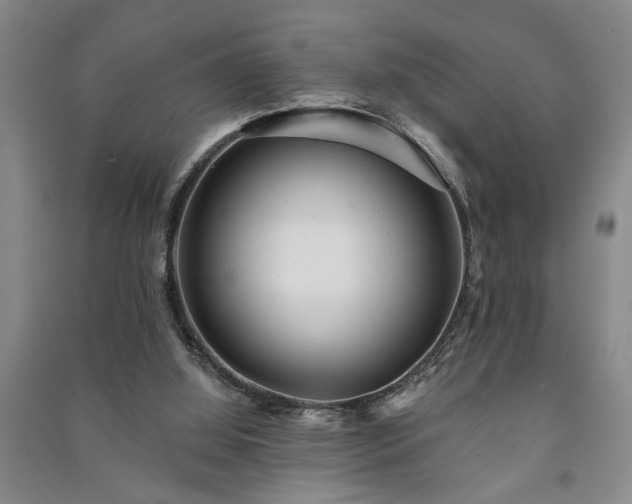 X0000091230060200708161724