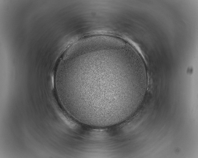 X0000091230061200708161724