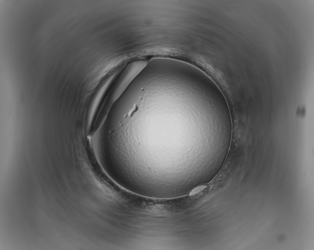 X0000091230062200708161724