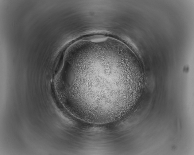 X0000091230063200708161724