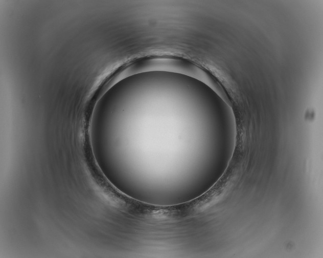 X0000091230064200708161724