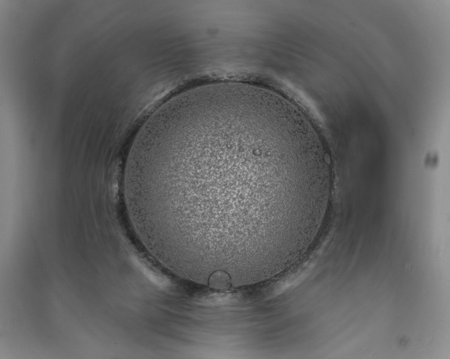 X0000091230065200708161724