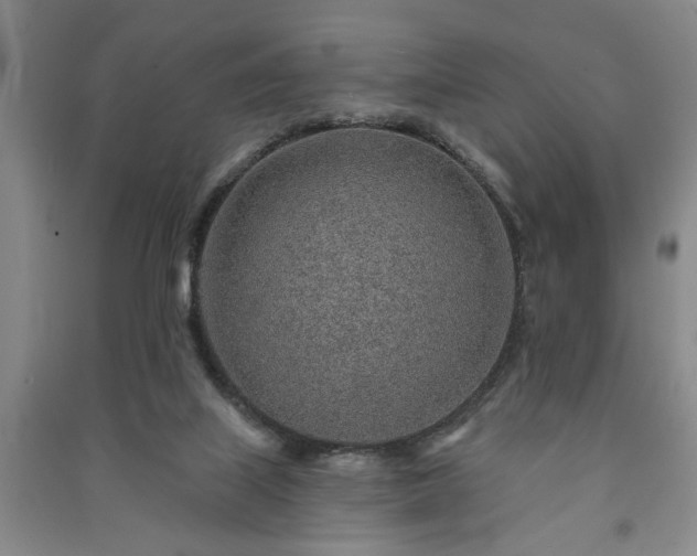 X0000091230067200708161725