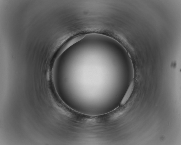 X0000091230068200708161725