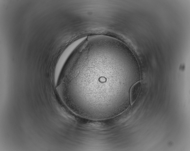 X0000091230069200708161725