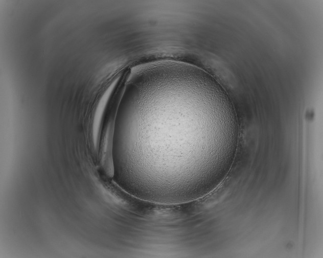 X0000091230070200708161725