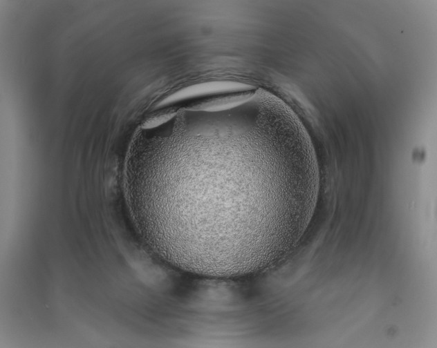 X0000091230073200708161725