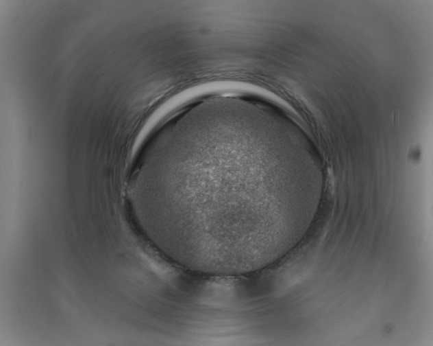 X0000091230076200708161725