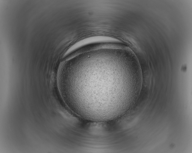 X0000091230077200708161725