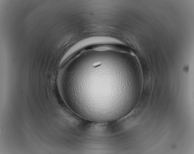 X0000091230078200708161725