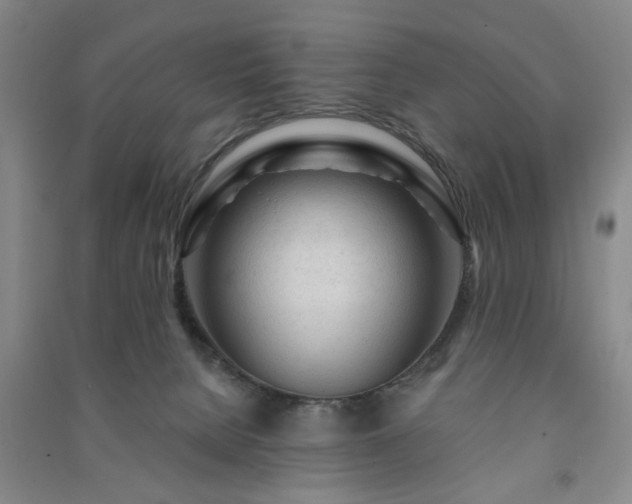 X0000091230080200708161725