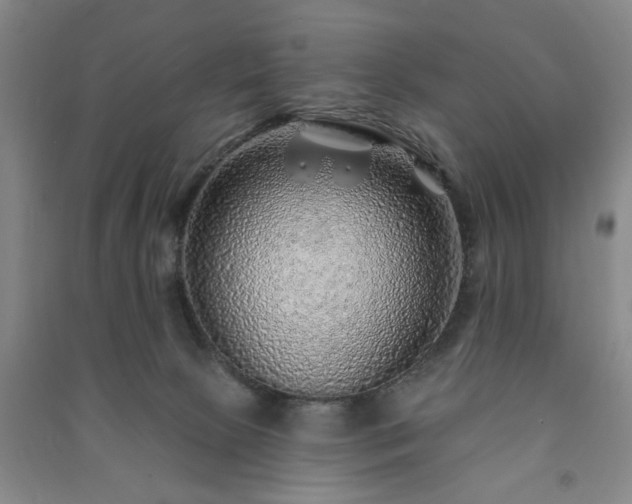 X0000091230081200708161725