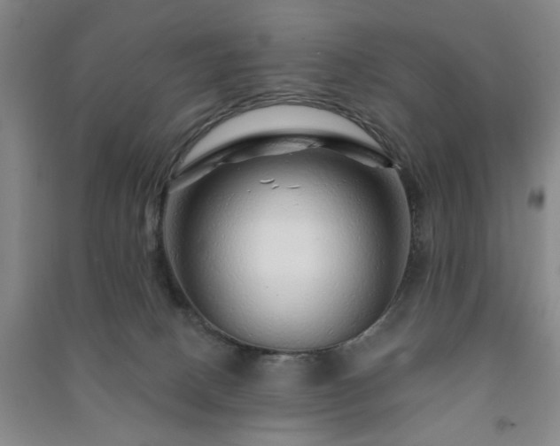 X0000091230082200708161725