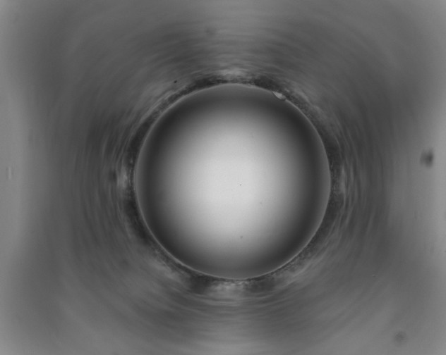 X0000091230084200708161725