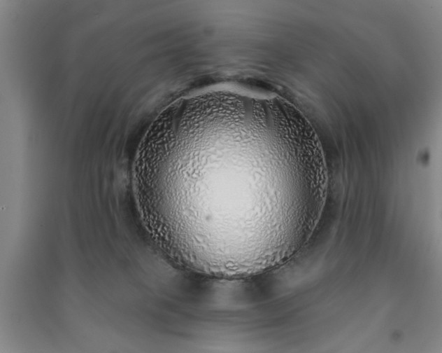 X0000091230085200708161725