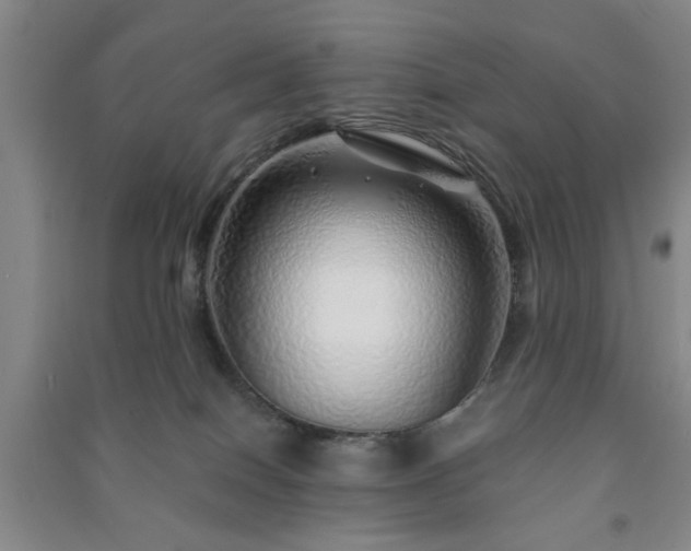 X0000091230086200708161725