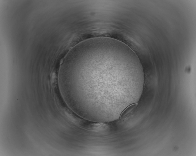 X0000091230087200708161725