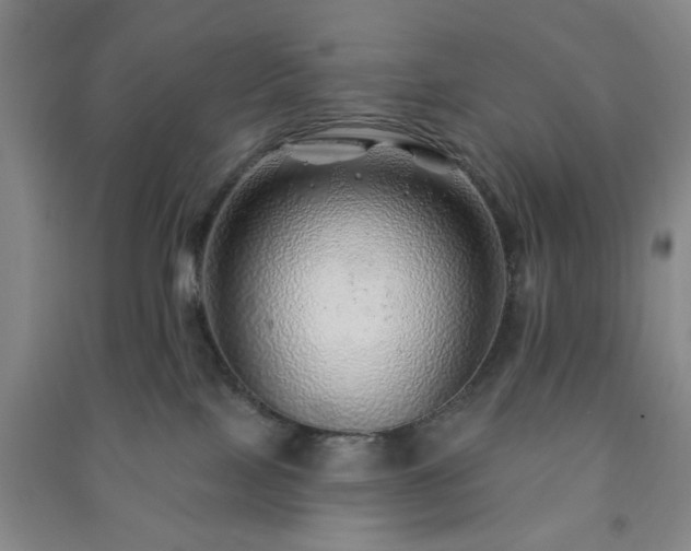 X0000091230089200708161725