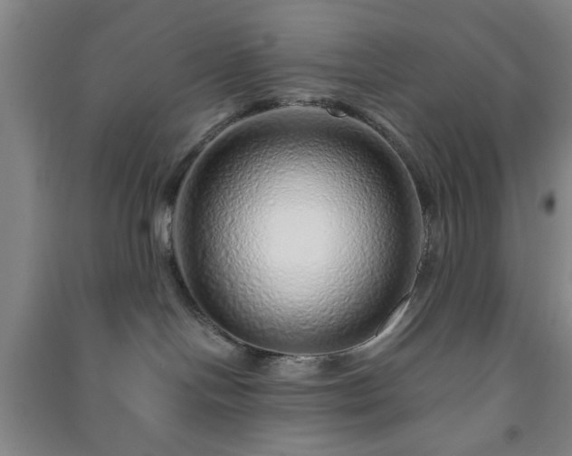 X0000091230094200708161725
