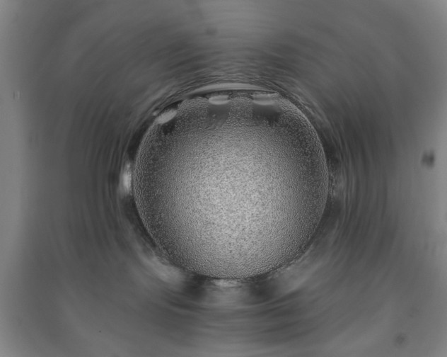 X0000091230095200708161725