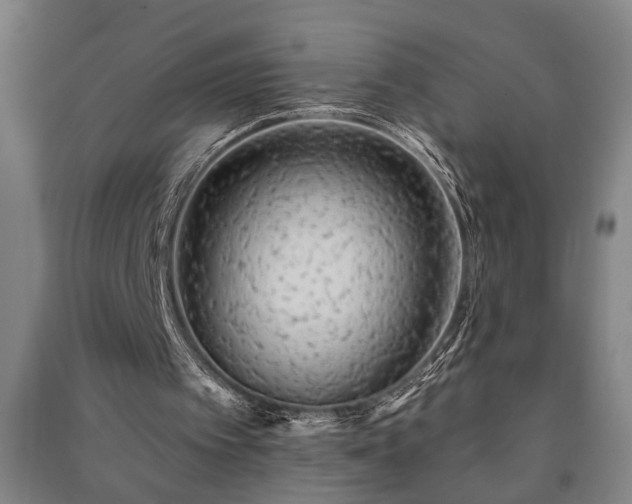 X0000091230097200708161724